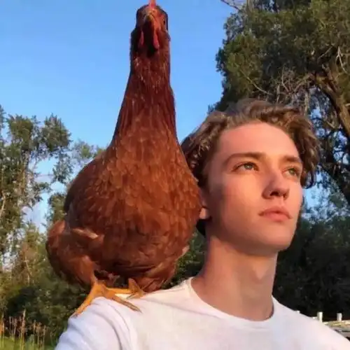 6686体育海外作者Raymond