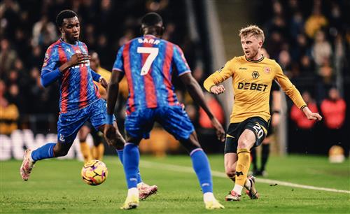 Wolves vs Crystal Palace