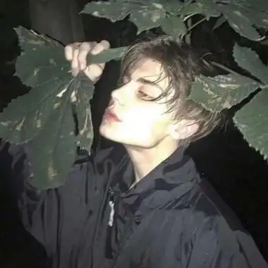 6686体育首席作者Vega